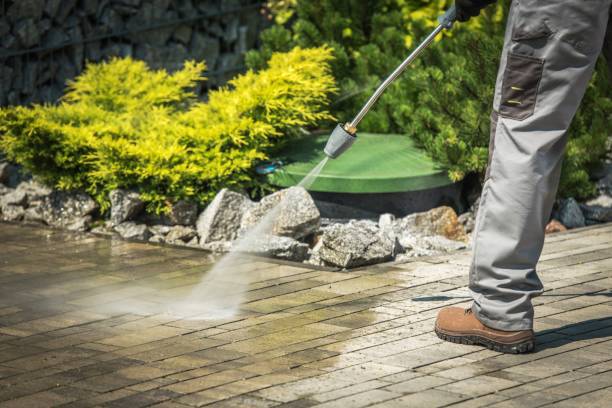 Best House Exterior Washing  in New Egypt, NJ