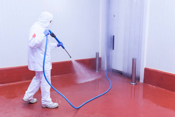 Best Boat and Dock Cleaning  in New Egypt, NJ