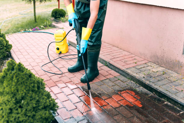 Best Sidewalk and Walkway Cleaning  in New Egypt, NJ