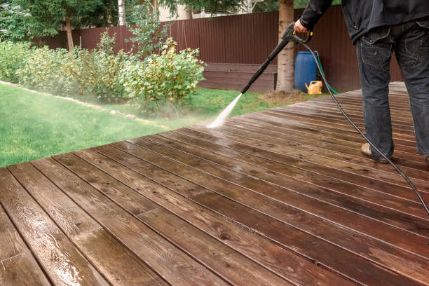 Best Roof Washing  in New Egypt, NJ